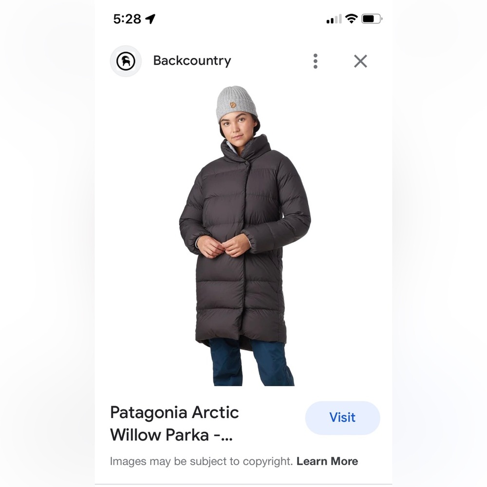 Patagonia Arctic Willow Parka
